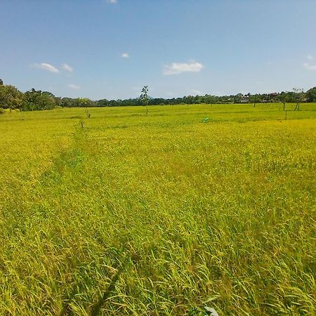 The Lotus Villa Sigiriya Exterior photo